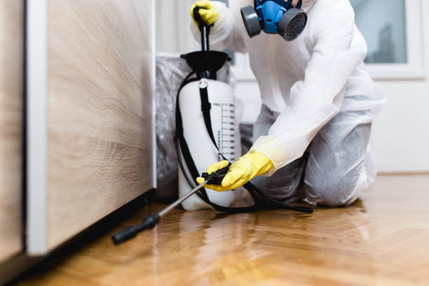 Best Commercial Pest Control Services  in Byrdstown, TN