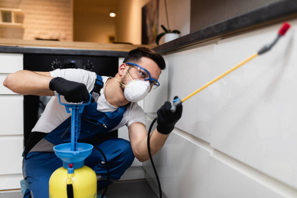 Best Affordable Pest Control Services  in Byrdstown, TN