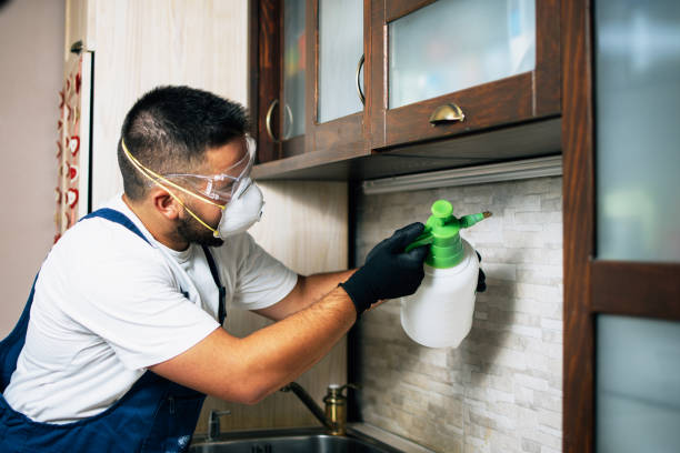 Best Insect Control  in Byrdstown, TN