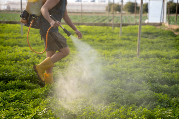 Best Exterminator Services  in Byrdstown, TN