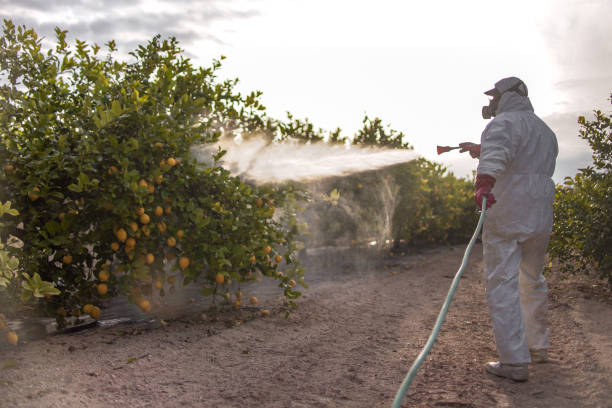 Trusted Byrdstown, TN Pest Control Experts