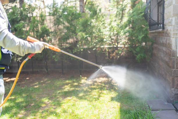 Best Best Pest Control Companies  in Byrdstown, TN