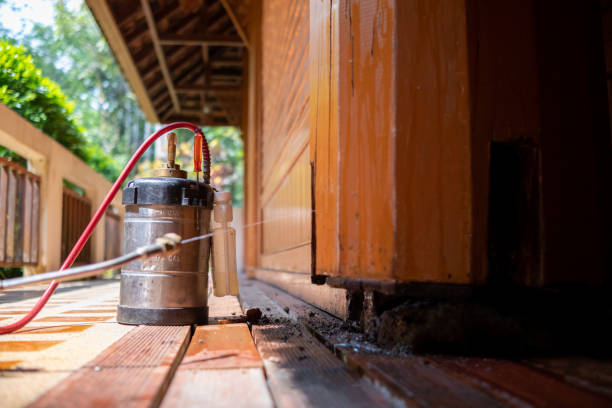 Best Local Pest Control Services  in Byrdstown, TN