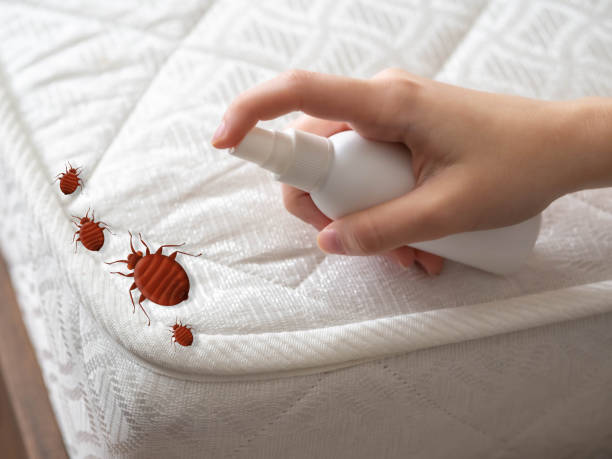 Best Pest Control for Businesses  in Byrdstown, TN